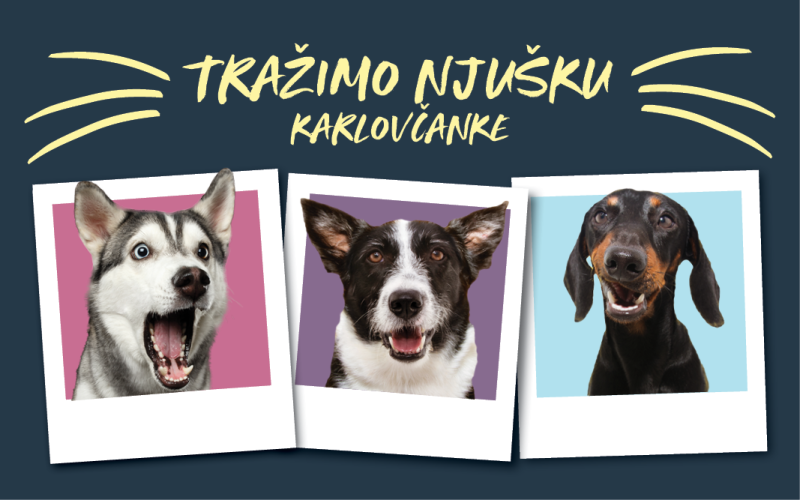 Tražimo ZOOCITY njušku KARLOVČANKE