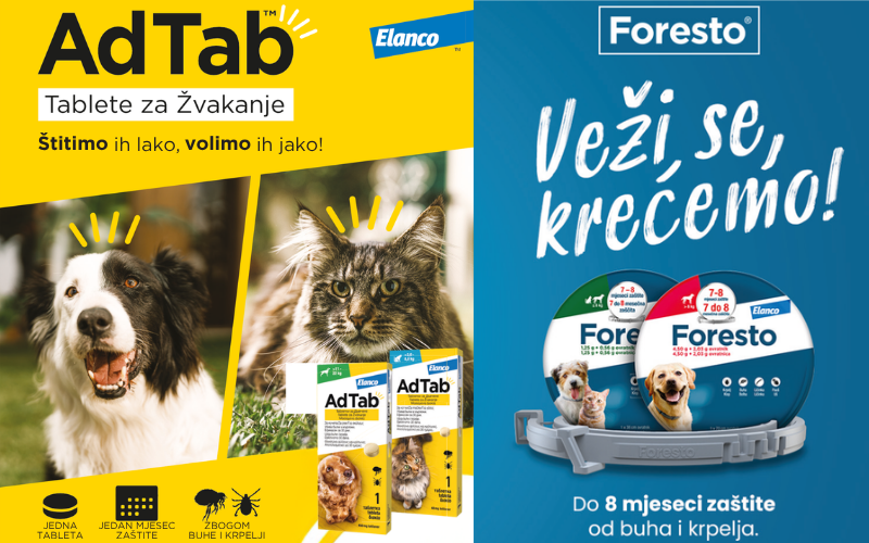 Koju zaštitu od parazita odabrati za svog ljubimca?