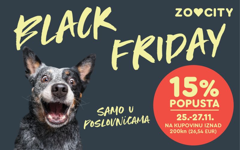 Black Friday - pas koji se čudi