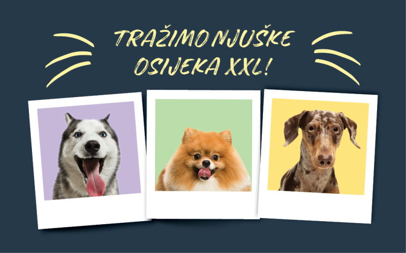 Tražimo ZOOCITY njuške OSIJEKA XXL
