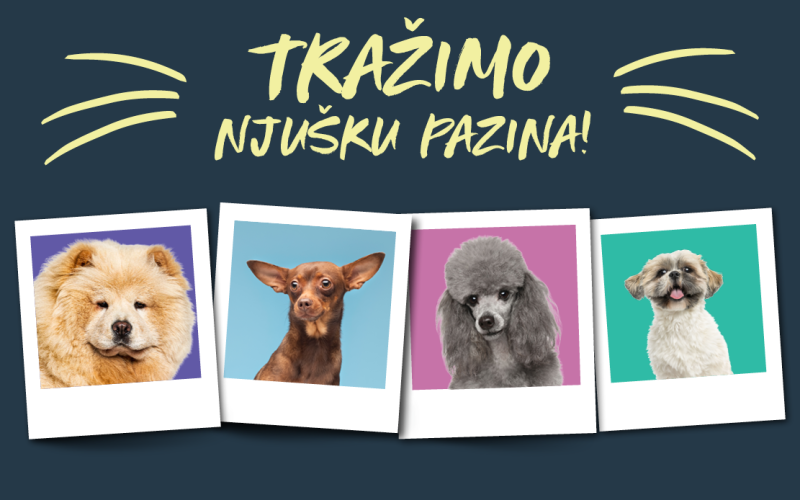 Tražimo ZOOCITY njušku PAZINA