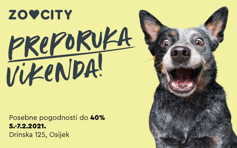 ZOOCITY preporuka vikenda u Osijeku