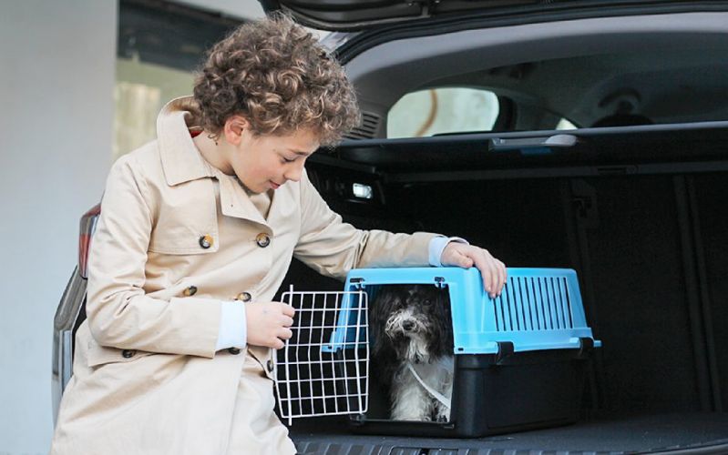 Putovanje s ljubimcima - transporter