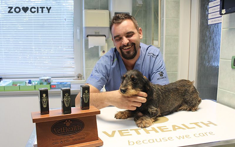Veterinar sa psom