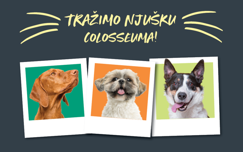 Tražimo ZOOCITY njušku COLOSSEUMA
