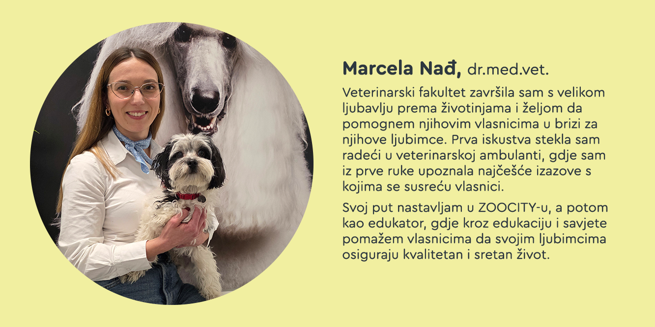 Marcela Nađ