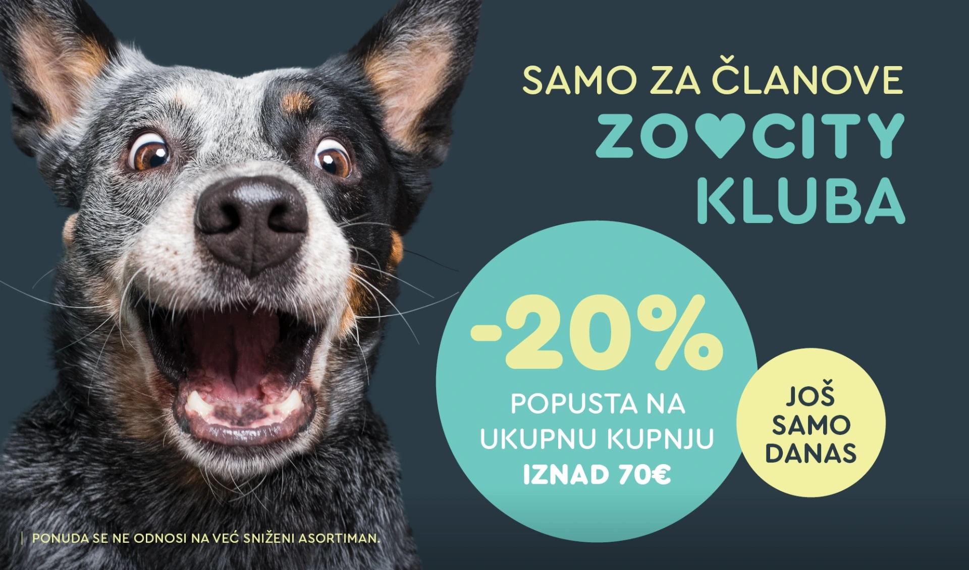 ZOOCITY Web akcija