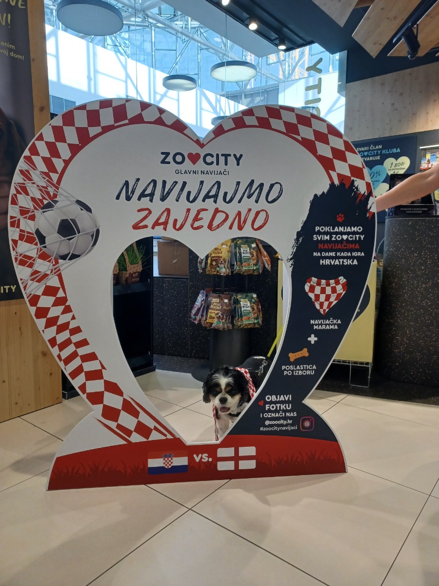 #ZooCityNavijaci