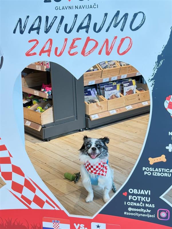 #ZooCityNavijaci