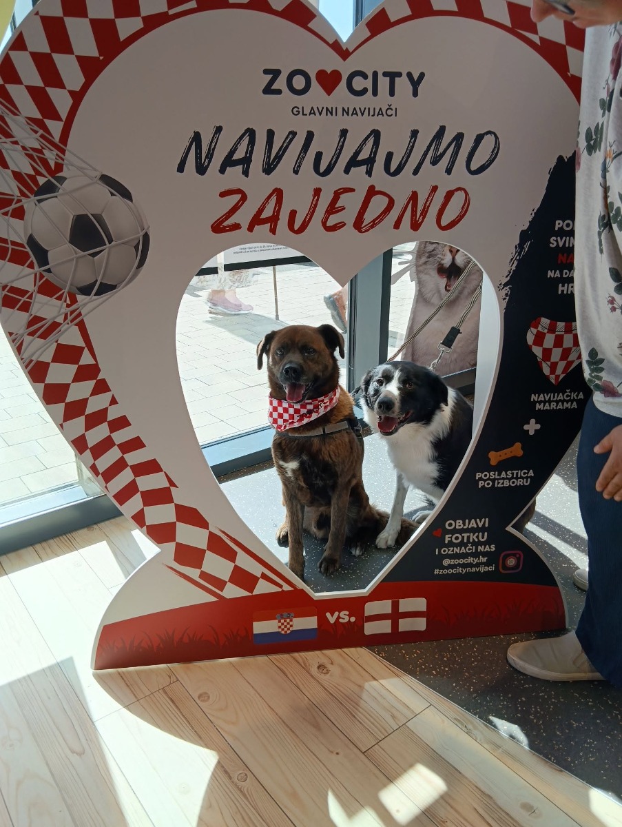 #ZooCityNavijaci