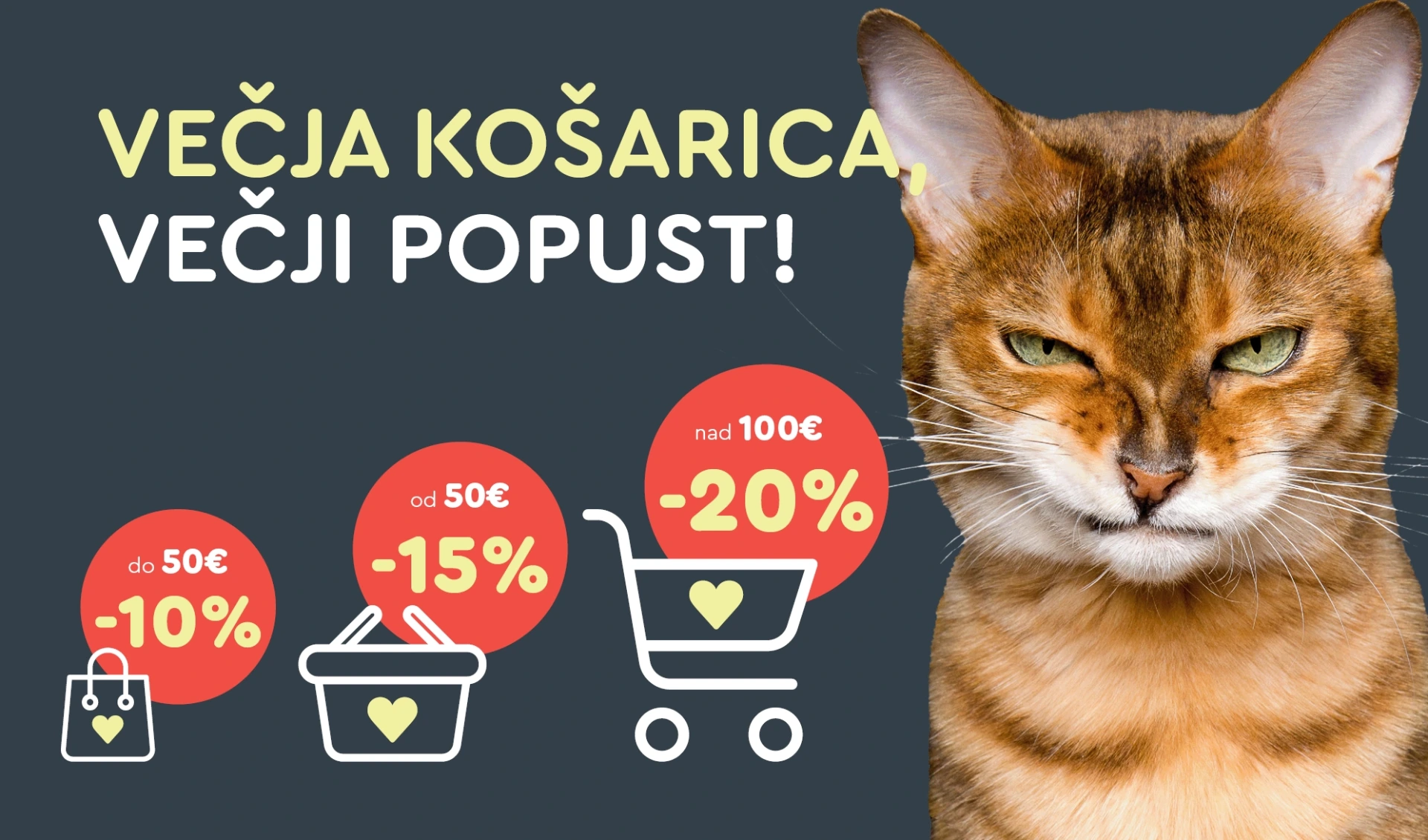 Večja košarica - večji popust