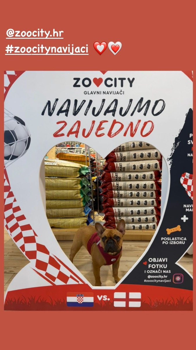 #ZooCityNavijaci