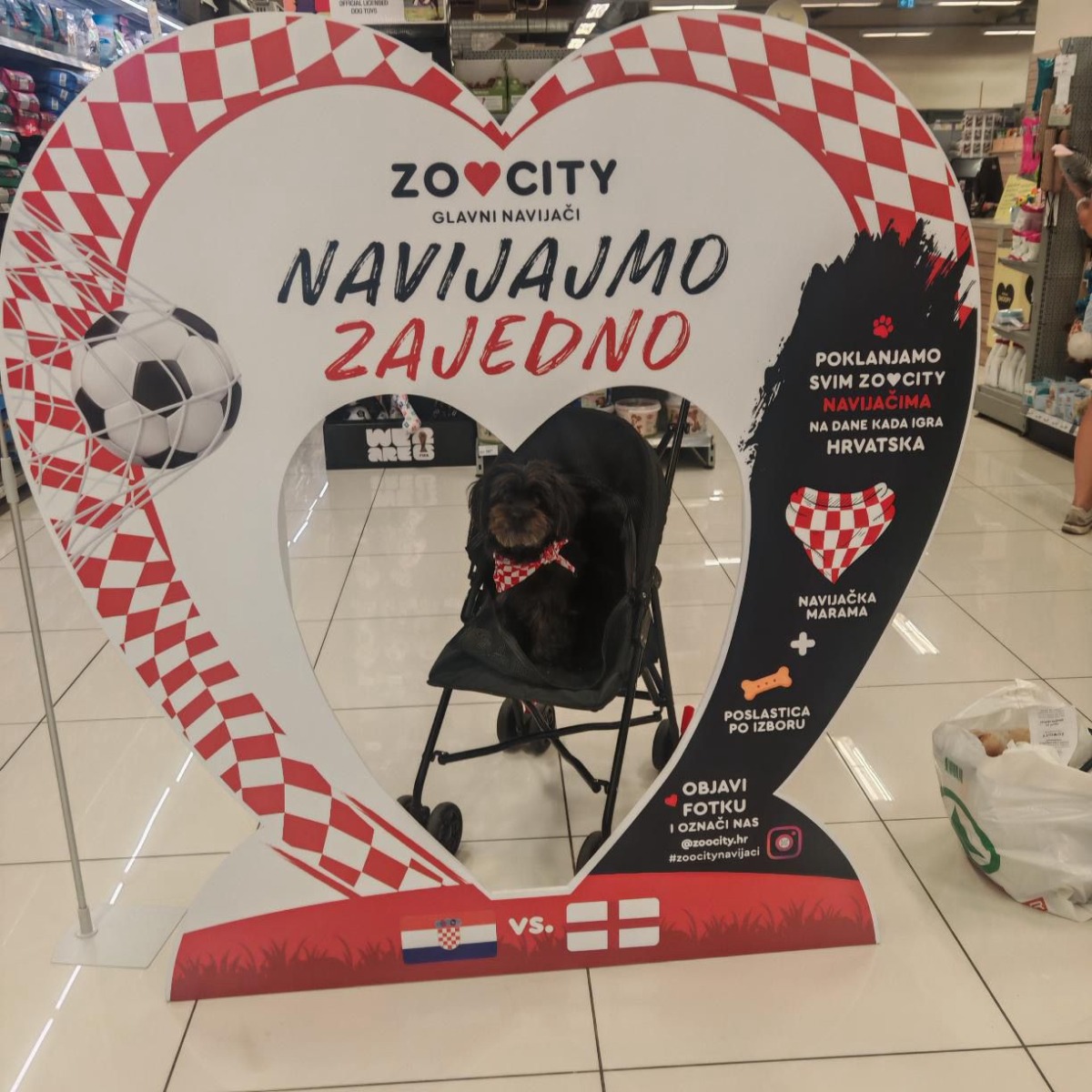 #ZooCityNavijaci