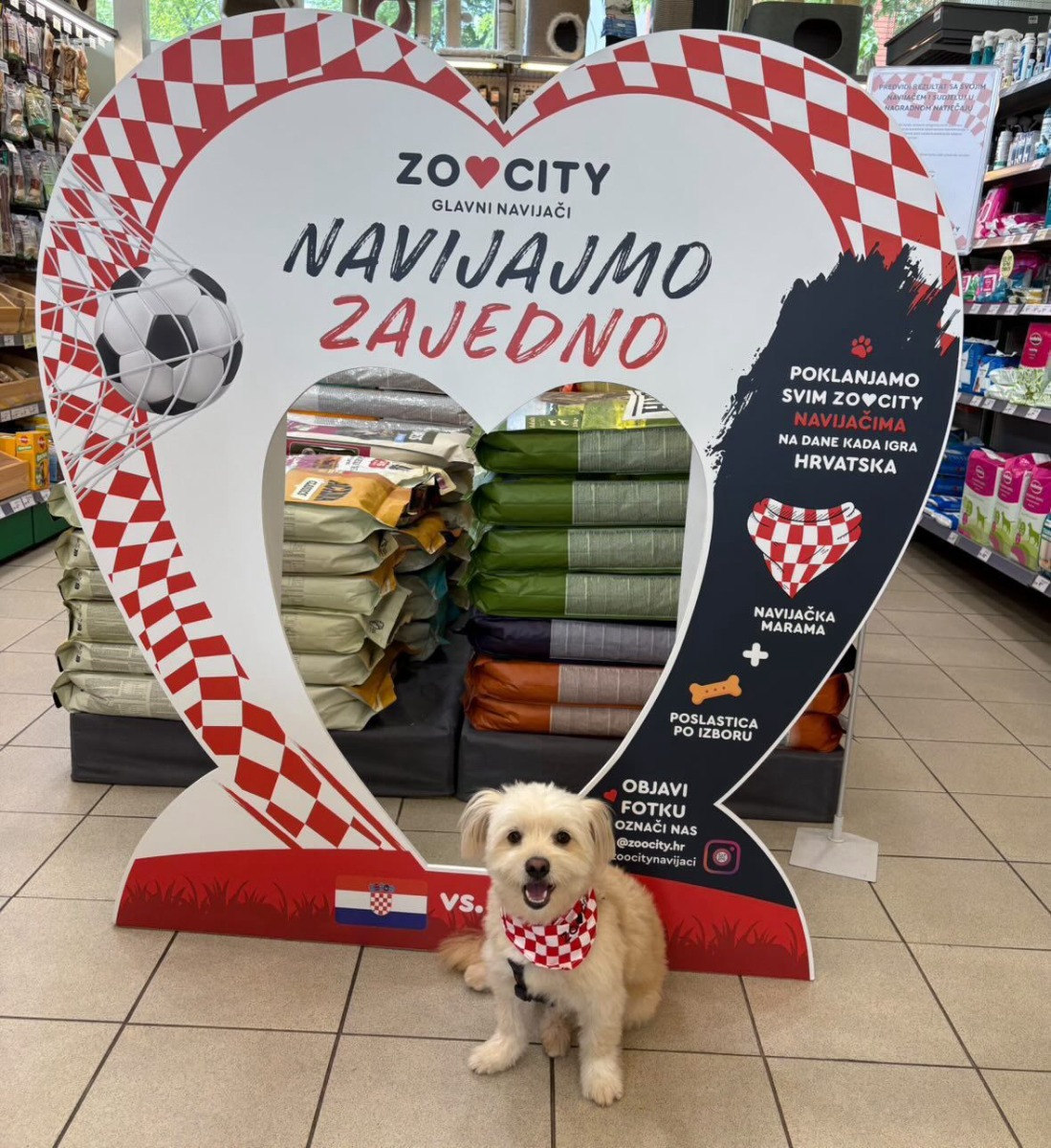 #ZooCityNavijaci