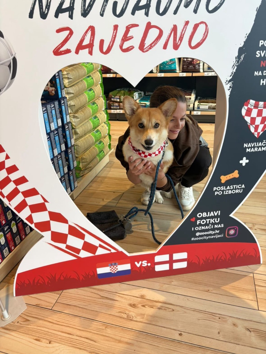 #ZooCityNavijaci