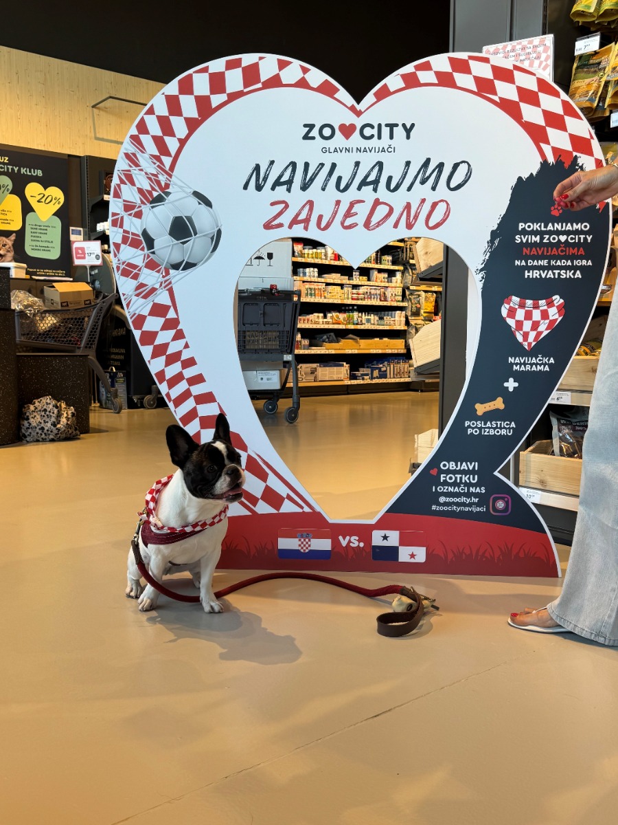 #ZooCityNavijaci