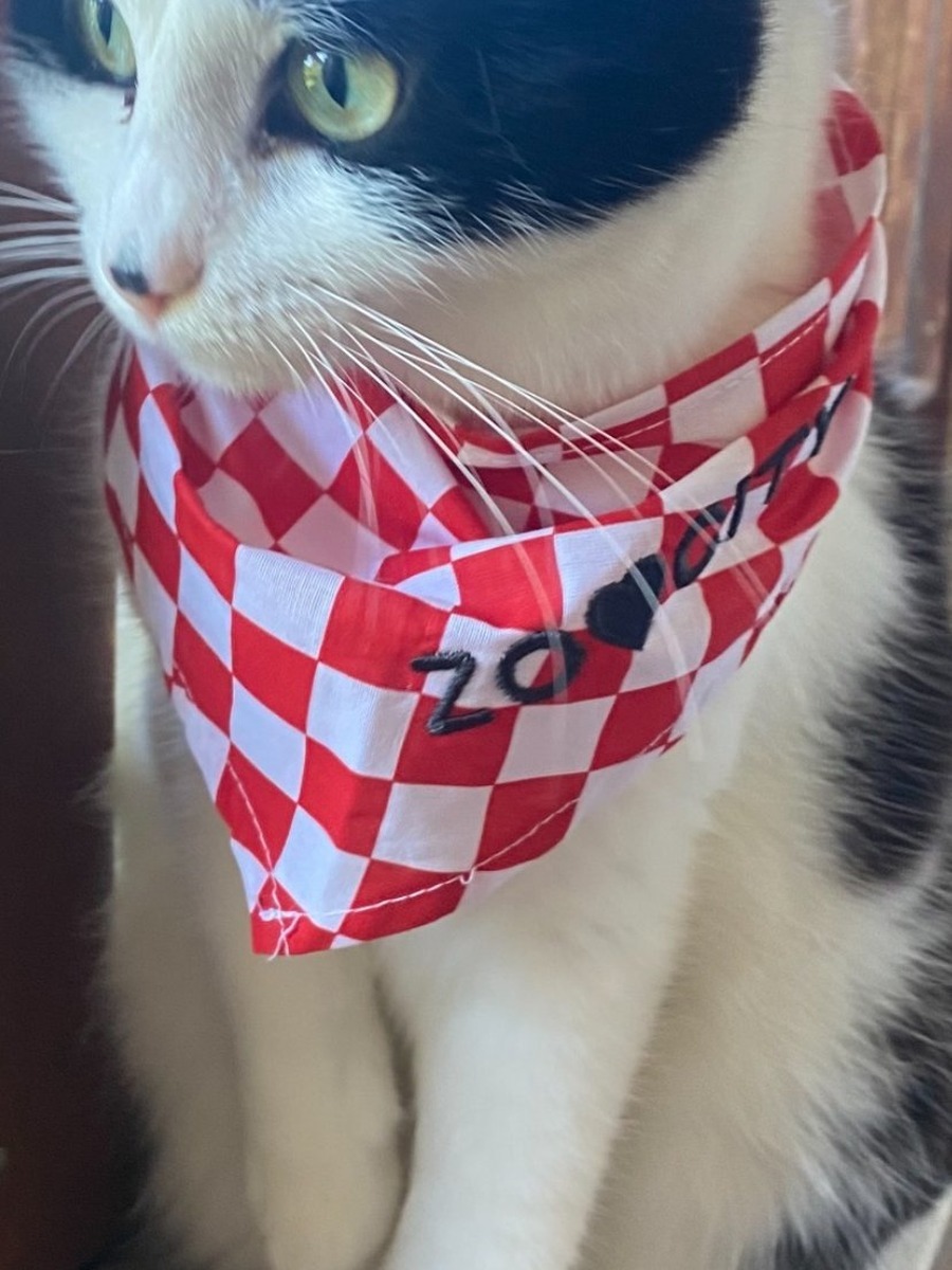 #ZooCityNavijaci