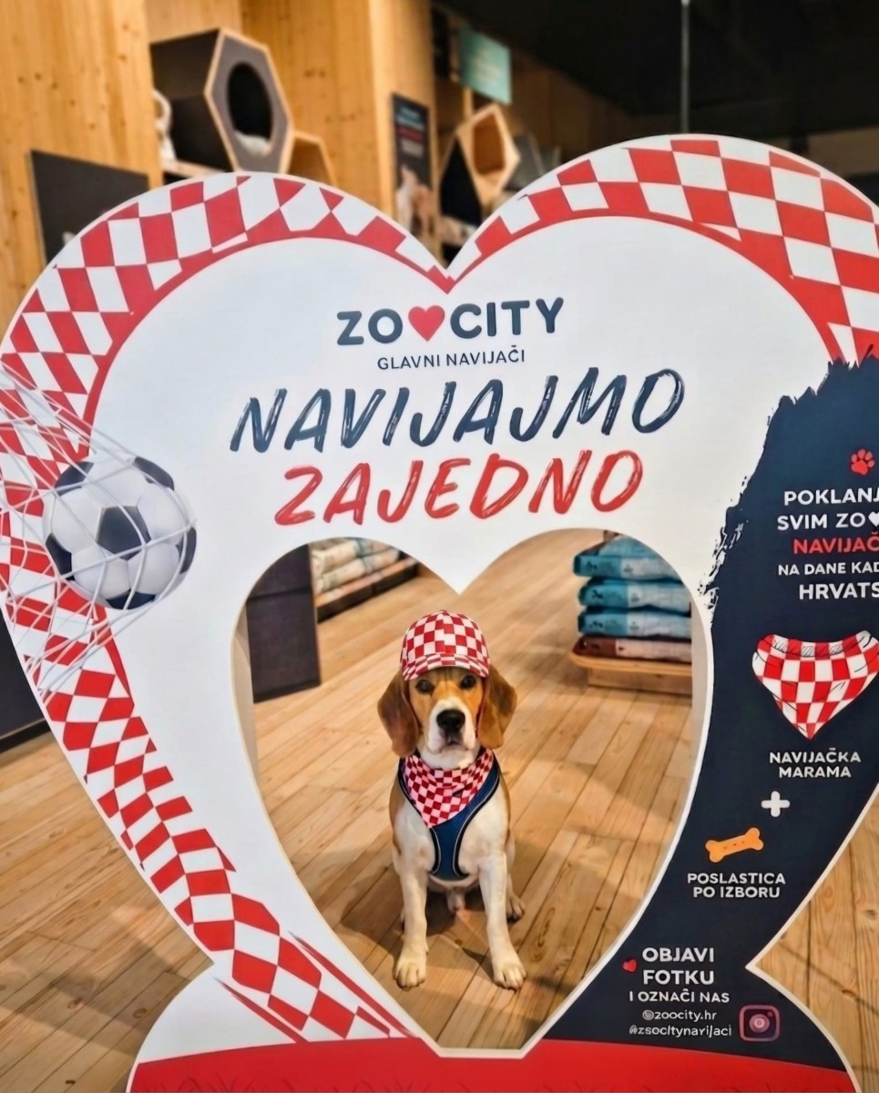 #ZooCityNavijaci