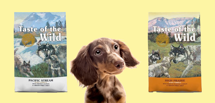 Taste of the Wild for dogs